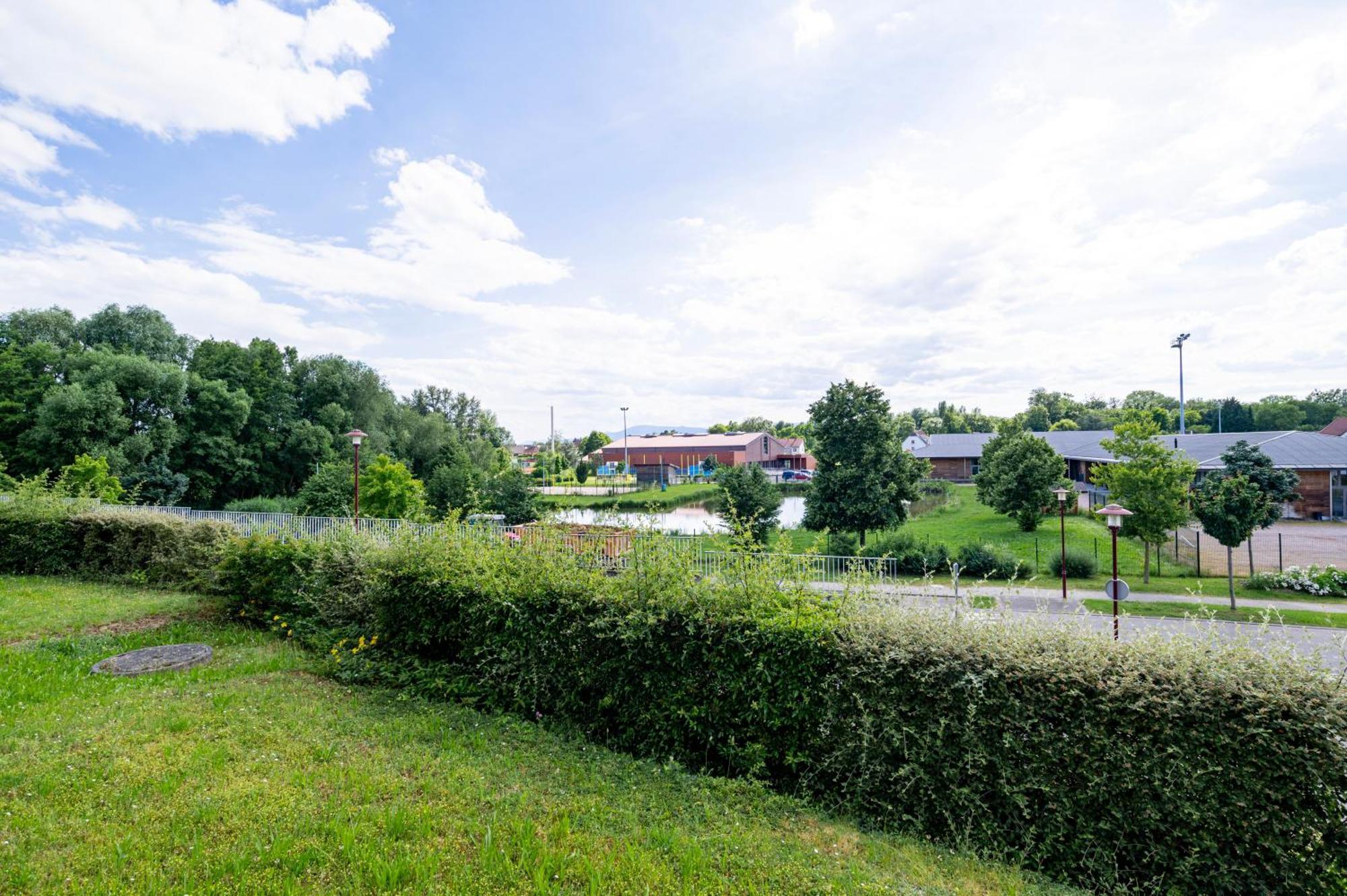 Апартаменты Chez Virgil - Terrasse Vue Degagee, Parking Prive Ernolsheim-Bruche Экстерьер фото